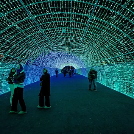 Palmyra-9 By Interhome